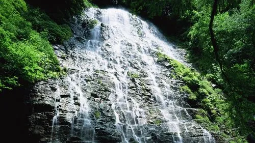 高效电子稳定性
